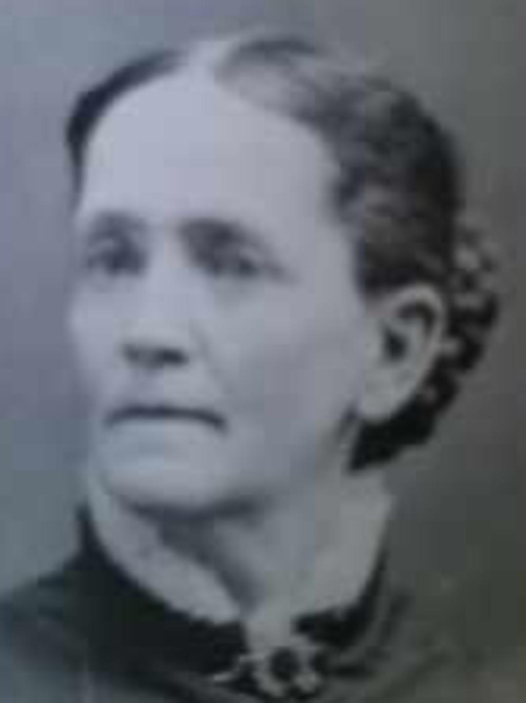 Melissa Mandana King (1823 - 1897) Profile